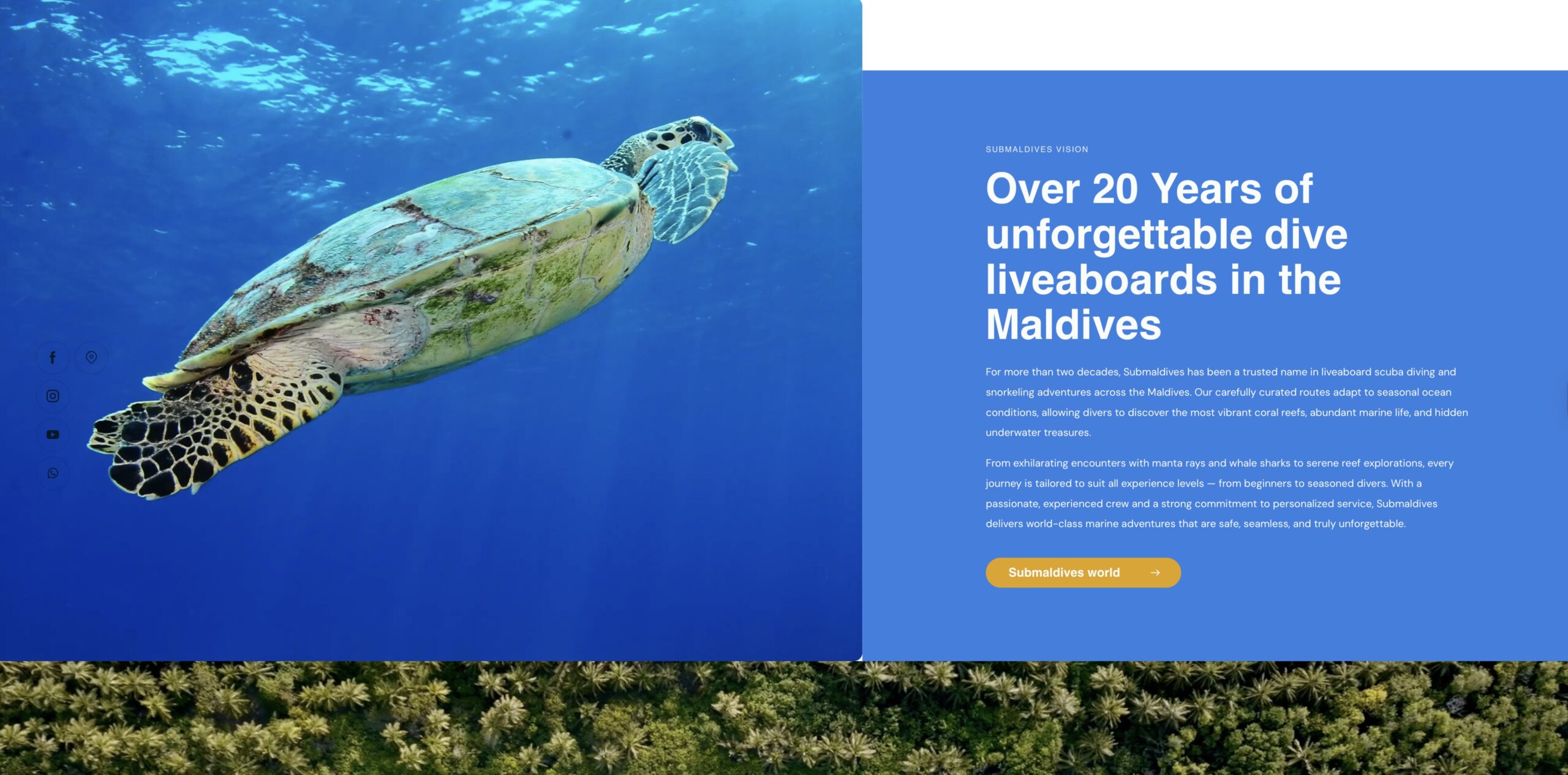 Sección de visión de marca y diseño de interfaz para la web de Submaldives - Wittierra Design.