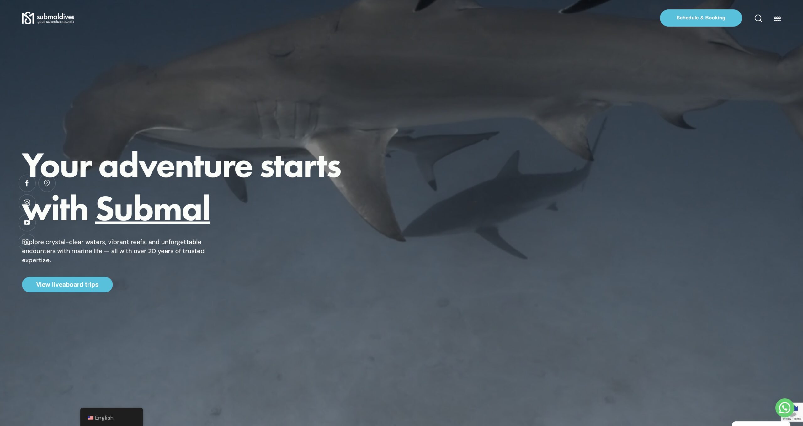 Comparativa de rediseño web para Submaldives: antes y después de la intervención de Wittierra Design.